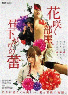 电影字幕时间轴精校条目封面